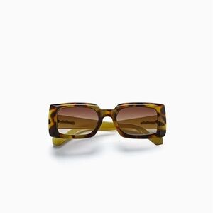 Szade Dart; Pinta Tortoise Shell Sunglasses